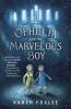 Book cover for "Ophelia and the marvelous boy"