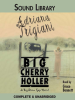 Book Cover for "Big Cherry Holler"