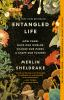 Entangled Life : How Fungi Make Our Worlds, Change Our Minds & Shape Our Futures by Sheldrake, Merlin